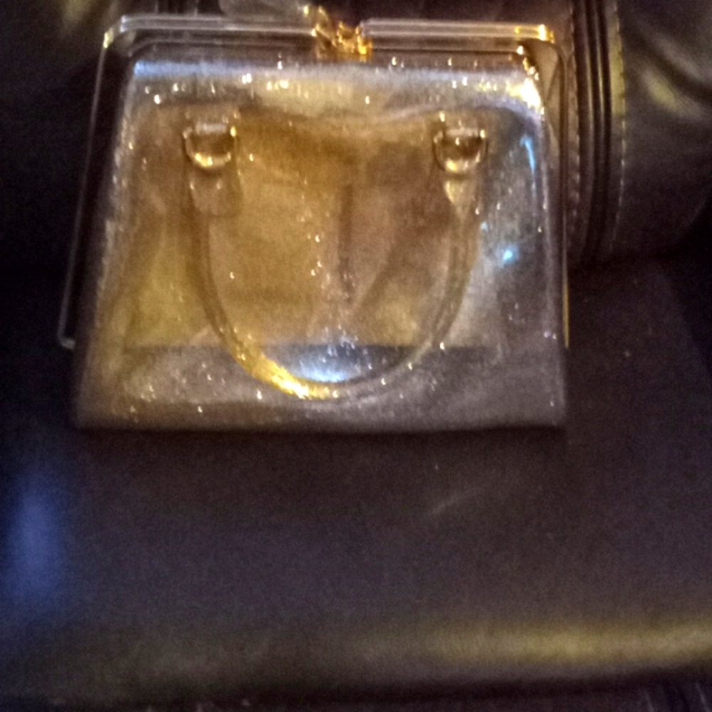 Clear Glamorous pocket book